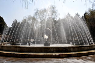 喷泉 动静之间的诗意